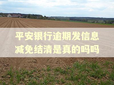 平安银行逾期发信息减免结清是真的吗吗