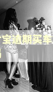 支付宝逾期买车能过户吗
