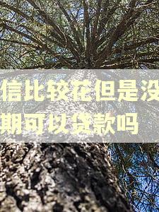 征信比较花但是没有逾期可以贷款吗