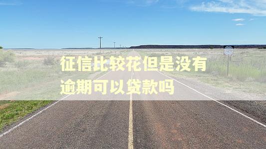 征信比较花但是没有逾期可以贷款吗