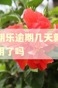 分期乐逾期几天就不能用了吗