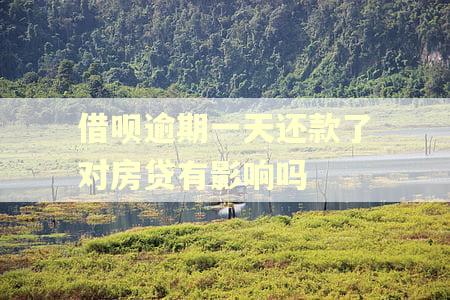 借呗逾期一天还款了对房贷有影响吗