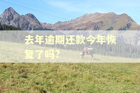 去年逾期还款今年恢复了吗?