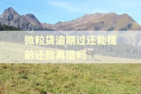 微粒贷逾期过还能提前还款再借吗