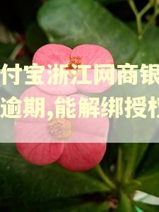 支付宝浙江网商银行有逾期,能解绑授权吗