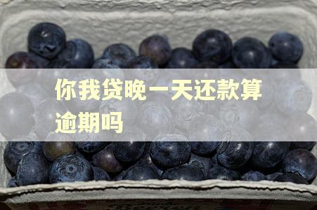 你我贷晚一天还款算逾期吗