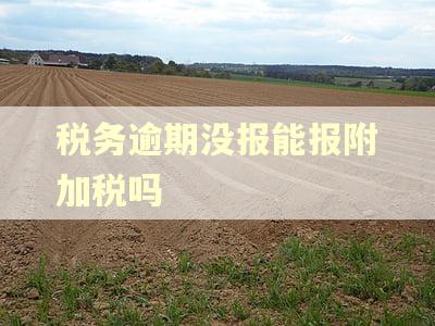 税务逾期没报能报附加税吗