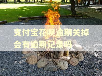 支付宝花呗逾期关掉会有逾期记录吗 支付宝花呗逾期关掉会有逾期记录吗