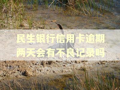民生银行信用卡逾期两天会有不良记录吗