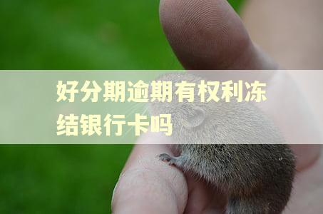 好分期逾期有权利冻结银行卡吗