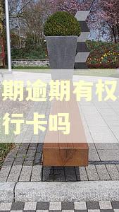 好分期逾期有权利冻结银行卡吗
