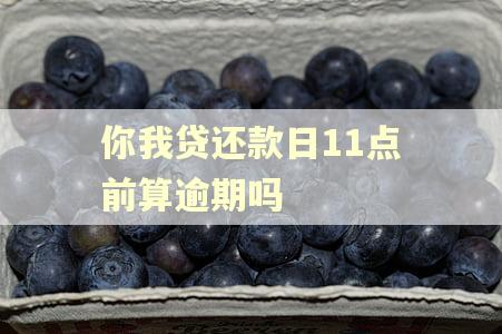 你我贷还款日11点前算逾期吗