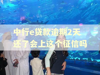 中行e贷款逾期2天还了会上这个征信吗