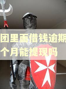 美团里面借钱逾期了一个月能提现吗