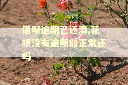 借呗逾期已还清,花呗没有逾期能正常还吗