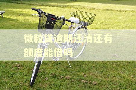 微粒贷逾期还清还有额度能借吗