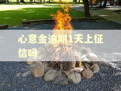 心意金逾期1天上征信吗