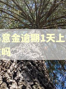 心意金逾期1天上征信吗