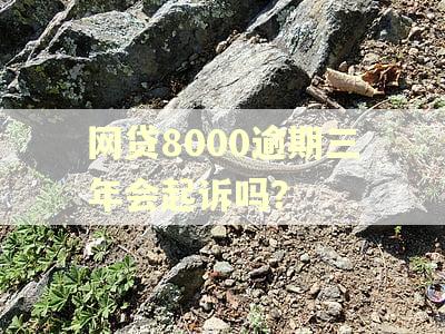 网贷8000逾期三年会起诉吗？