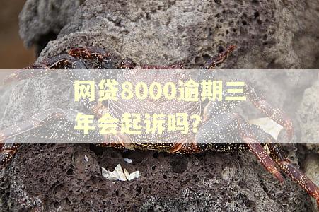 网贷8000逾期三年会起诉吗？