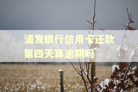浦发银行信用卡还款第四天算逾期吗