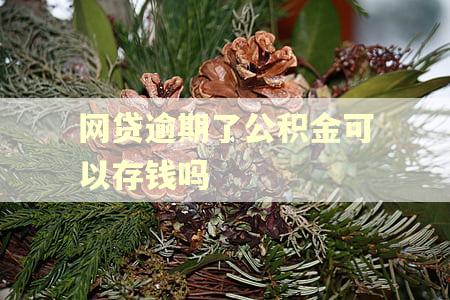 网贷逾期了公积金可以存钱吗