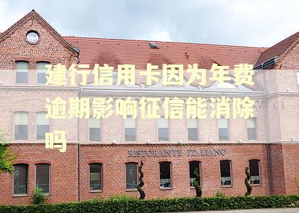 建行信用卡因为年费逾期影响征信能消除吗