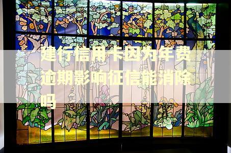 建行信用卡因为年费逾期影响征信能消除吗
