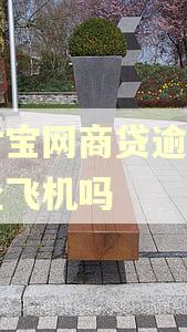 支付宝网商贷逾期可以坐飞机吗