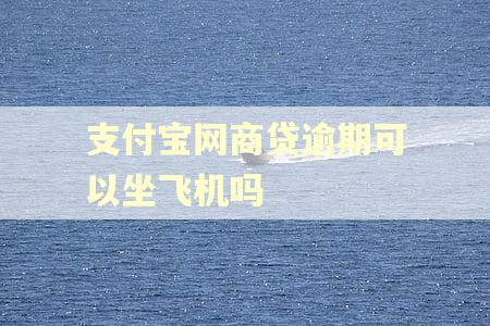 支付宝网商贷逾期可以坐飞机吗