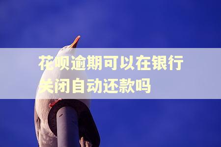 花呗逾期可以在银行关闭自动还款吗 花呗逾期可以在银行关闭自动还款吗
