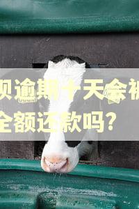 花呗逾期十天会被要求全额还款吗?