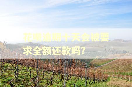 花呗逾期十天会被要求全额还款吗?