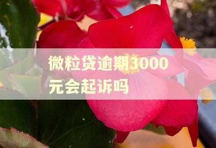 微粒贷逾期3000元会起诉吗