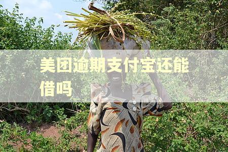 美团逾期支付宝还能借吗