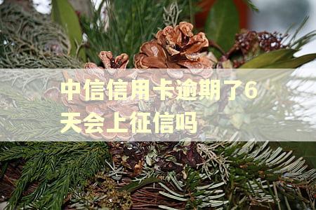 中信信用卡逾期了6天会上征信吗
