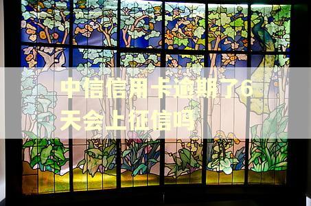 中信信用卡逾期了6天会上征信吗