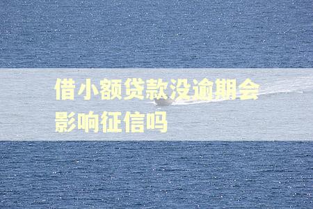 借小额贷款没逾期会影响征信吗