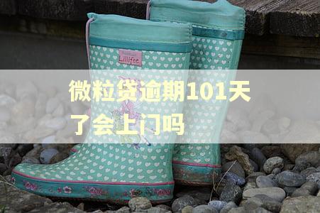 微粒贷逾期101天了会上门吗