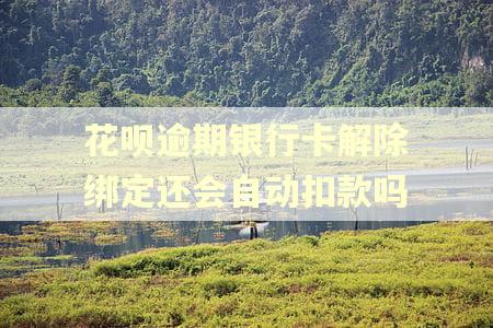 花呗逾期银行卡解除绑定还会自动扣款吗