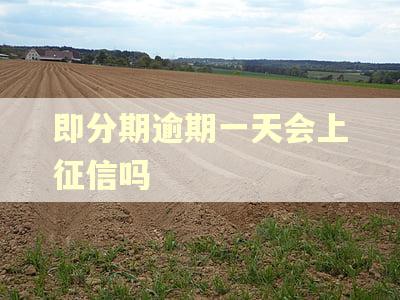 即分期逾期一天会上征信吗