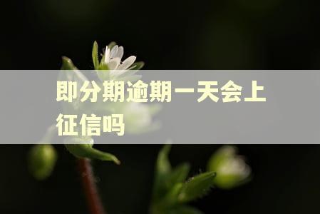 即分期逾期一天会上征信吗