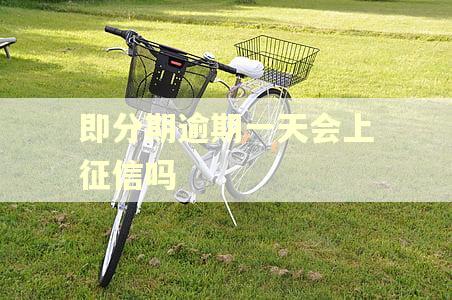 即分期逾期一天会上征信吗