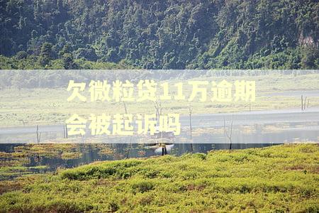 欠微粒贷11万逾期会被起诉吗