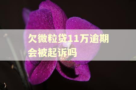 欠微粒贷11万逾期会被起诉吗