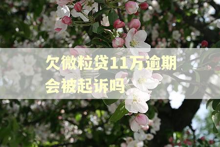 欠微粒贷11万逾期会被起诉吗 欠微粒贷11万逾期会被起诉吗