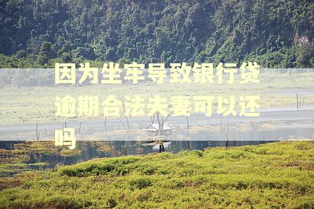 因为坐牢导致银行贷逾期合法夫妻可以还吗