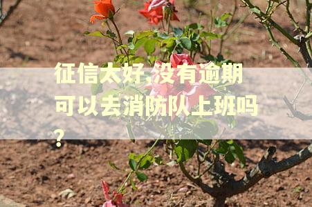 征信太好,没有逾期可以去消防队上班吗？