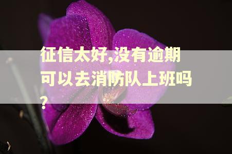 征信太好,没有逾期可以去消防队上班吗？