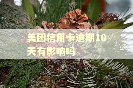 美团信用卡逾期10天有影响吗